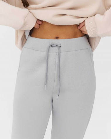 Штани спортивні на флісі від FASHIONISTA сірий