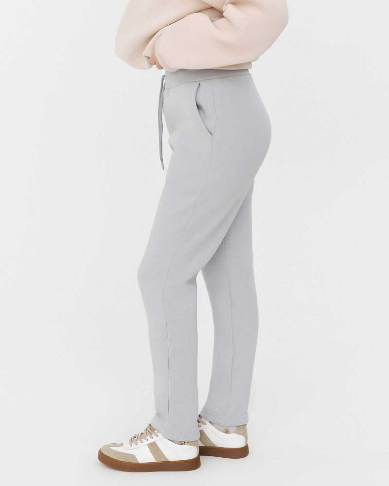 Штани спортивні на флісі від FASHIONISTA сірий