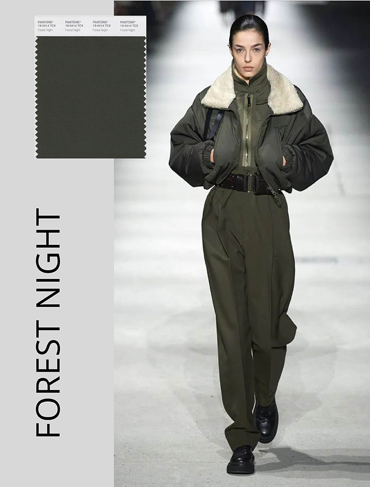 PANTONE_2023_LONDON FOREST NIGHT BY FASHIONISTA