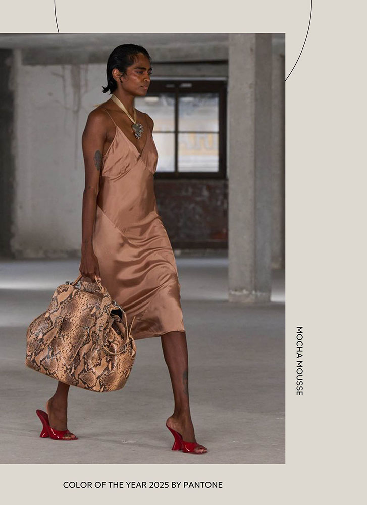 Color of the Year 2025 by Pantone - Mocha Mousse