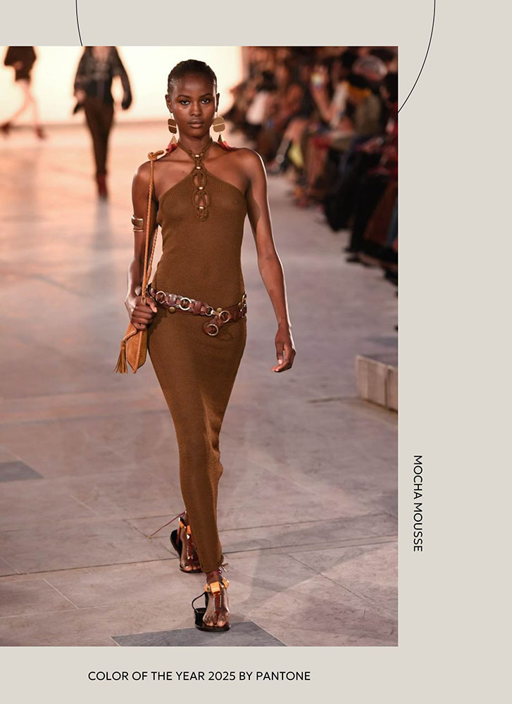 Color of the Year 2025 by Pantone - Mocha Mousse