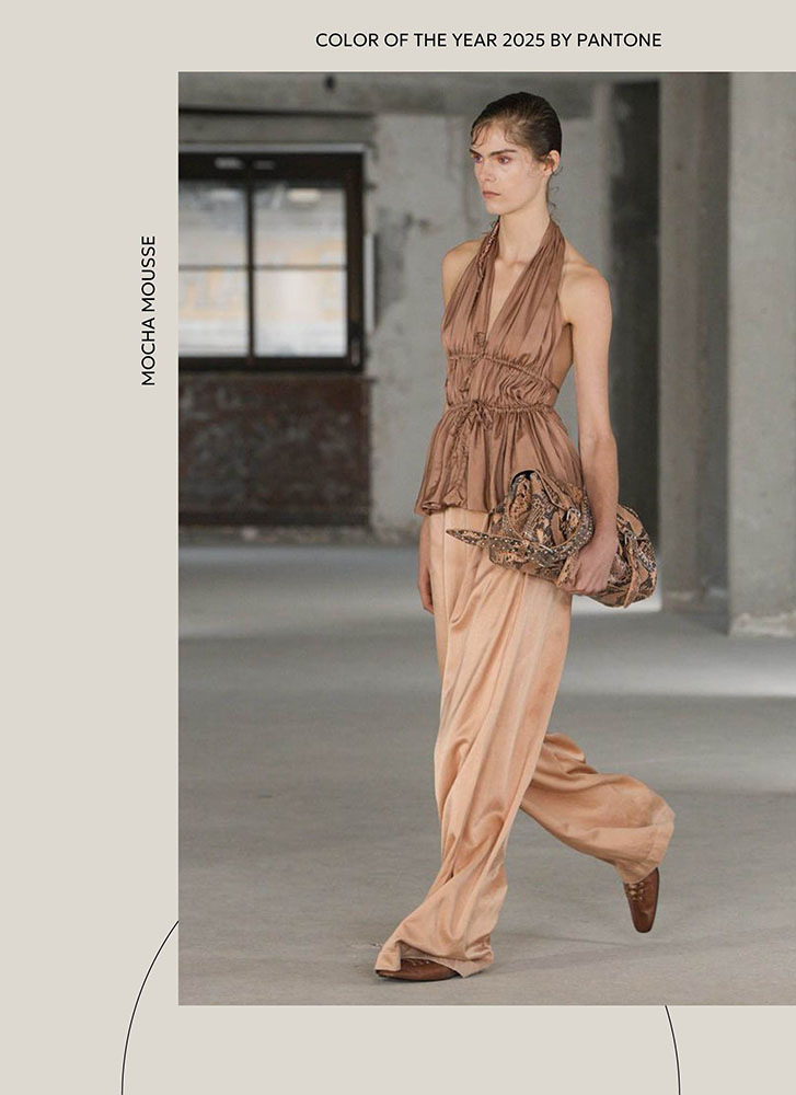 Color of the Year 2025 by Pantone - Mocha Mousse