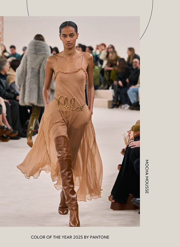 Color of the Year 2025 by Pantone - Mocha Mousse