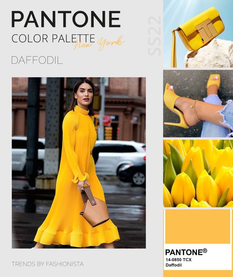 PANTONE NY 22